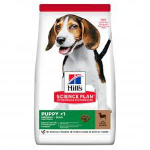 HILL'S DOG PUPPY MEDIUM AGNELLO KG 2,5